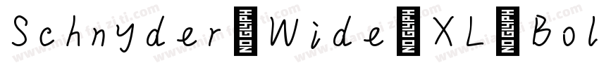 Schnyder Wide XL Bold Regular字体转换